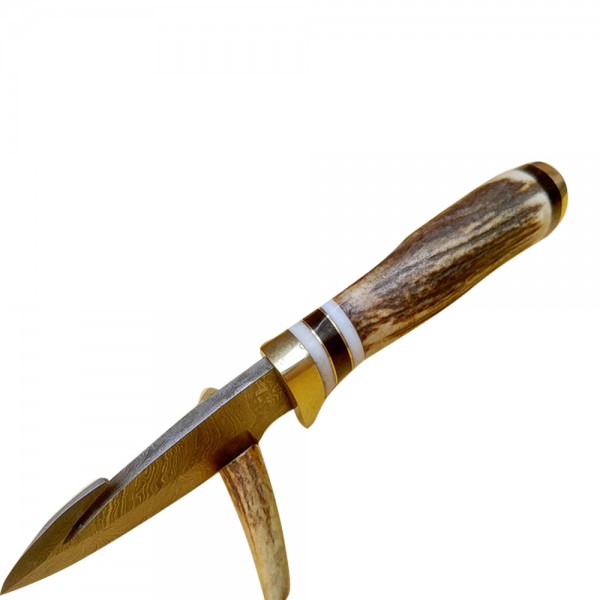 Damascus Skinner 9" - Model 6 (Stag Horn)
