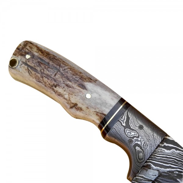 Damascus Skinner 8" - Model 1 (STAG)