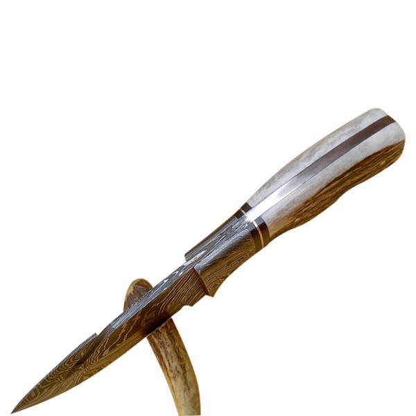 Damascus Skinner 8" - Model 1 (STAG)