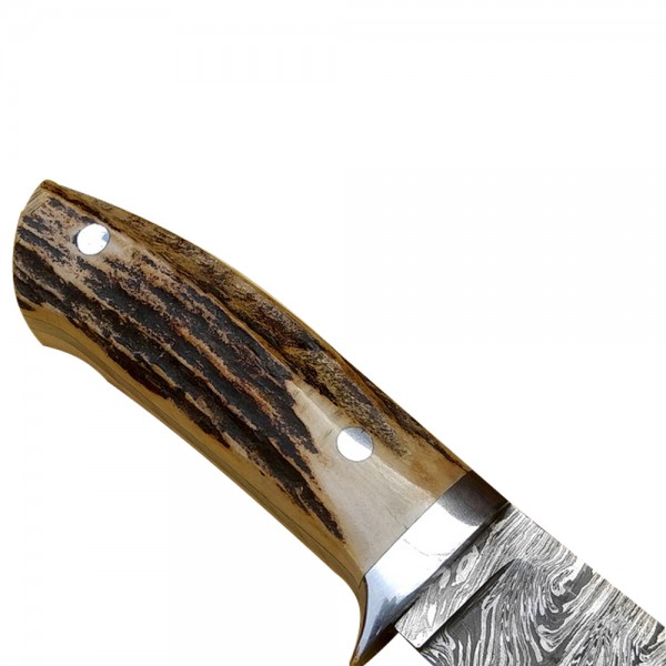 Damascus Skinner 9" - Model 1 (Stag Horn)