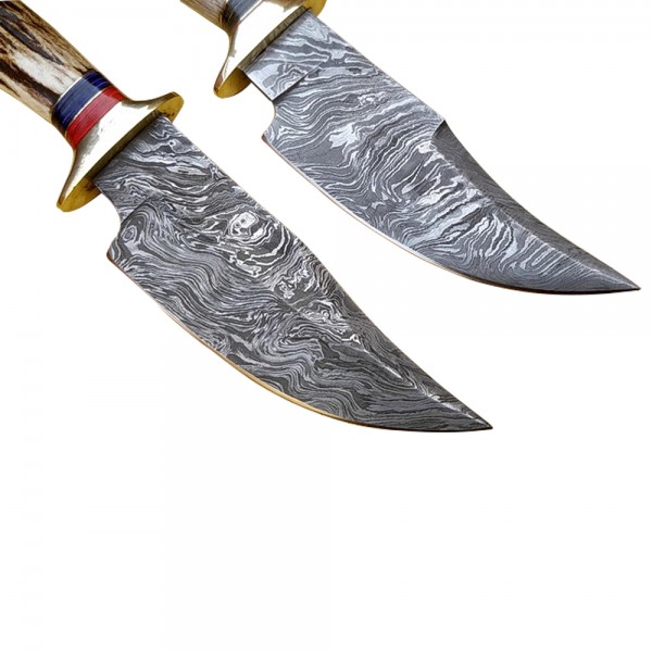 Damascus Skinner 9" - Model 1 (Stag Horn)